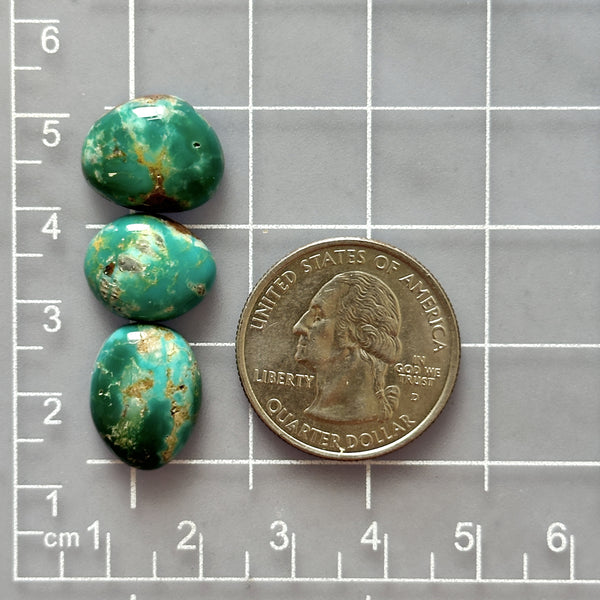 Small Deep Green Freeform Fox Turquoise, Set of 3 Dimensions