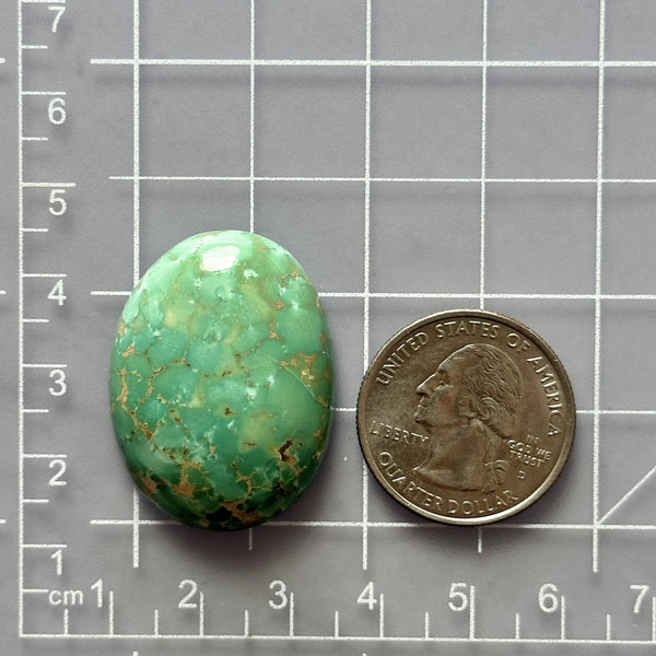 Large Mint Green Oval Crescent Lake Variscite Dimensions