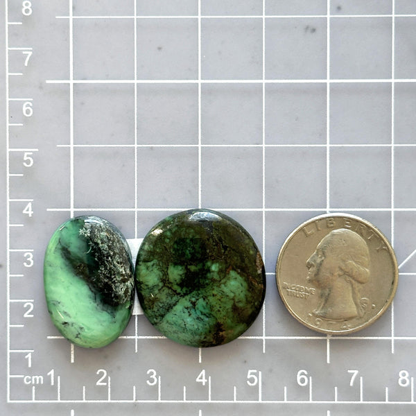 Large Sea Green Mixed Crescent Lake Variscite, Set of 2 Dimensions