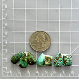 Small Bamboo Green Mixed Bamboo Mountain Turquoise, Set of 7 Dimensions