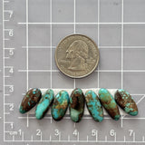 Medium Mixed Mixed Royston Turquoise, Set of 7 Dimensions