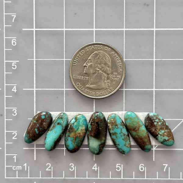 Medium Mixed Mixed Royston Turquoise, Set of 7 Dimensions