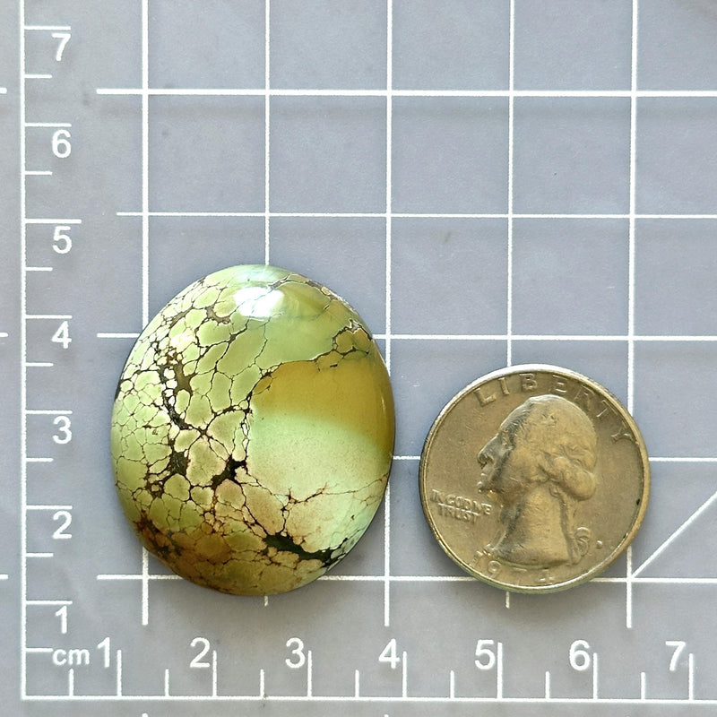 Large Faint Green Oval Treasure Mountain Turquoise Dimensions