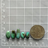 Small Deep Green Mixed Tyrone Turquoise, Set of 5 Dimensions