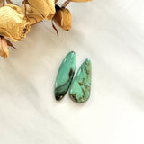 Large Sea Green Mixed Crescent Lake Variscite, Set of 2 Background