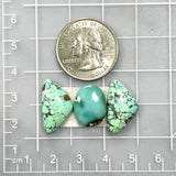 Medium Mixed Mixed Mixed Turquoise, Set of 3 Dimensions