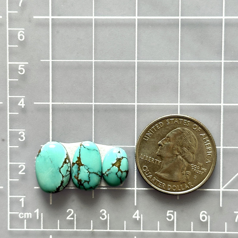 Small Sky Blue Freeform Yungai Turquoise, Set of 3 Dimensions