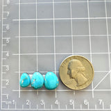Small Sky Blue Freeform Sleeping Beauty Turquoise, Set of 3 Dimensions