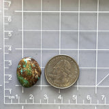 Medium Earth Brown Freeform Number 8 Turquoise Dimensions