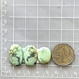Medium Mint Green Mixed Crescent Lake Variscite, Set of 3 Dimensions