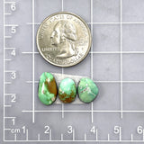 Small Mint Green Freeform Carico Lake Turquoise, Set of 3 Dimensions