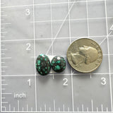 Small Ocean Blue Mixed Yungai Turquoise, Set of 2 Dimensions