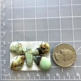 Medium Mixed Mixed Crescent Lake Variscite, Set of 5 Dimensions