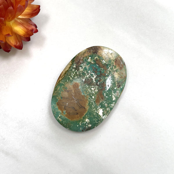 Large Sea Green Oval Crescent Lake Variscite Background