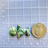 Small Deep Green Mixed Crescent Lake Variscite, Set of 3 Dimensions