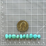 Small Sky Blue Mixed Kingman Turquoise, Set of 10 Dimensions