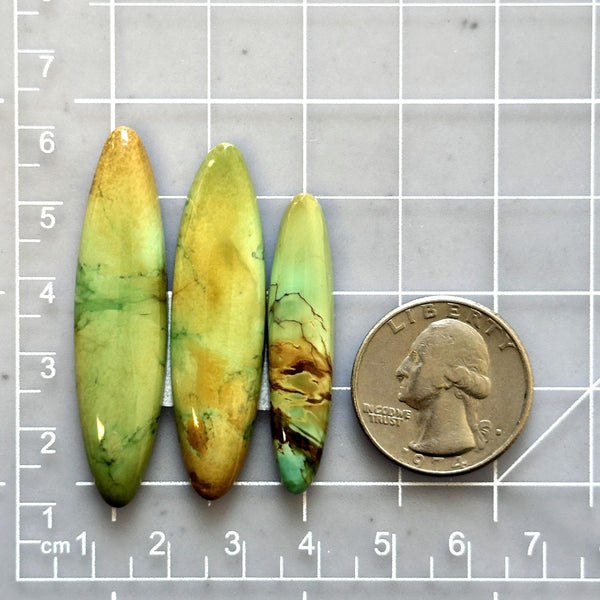 Large Sea Green Surfboard Crescent Lake Variscite, Set of 3 Dimensions