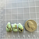 Medium Mint Green Teardrop Crescent Lake Variscite, Set of 3 Dimensions