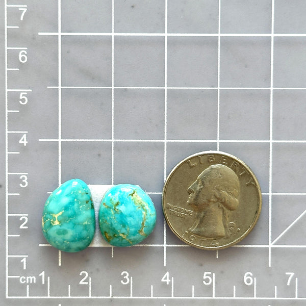 Small Sky Blue Freeform Royston Turquoise, Set of 2 Dimensions