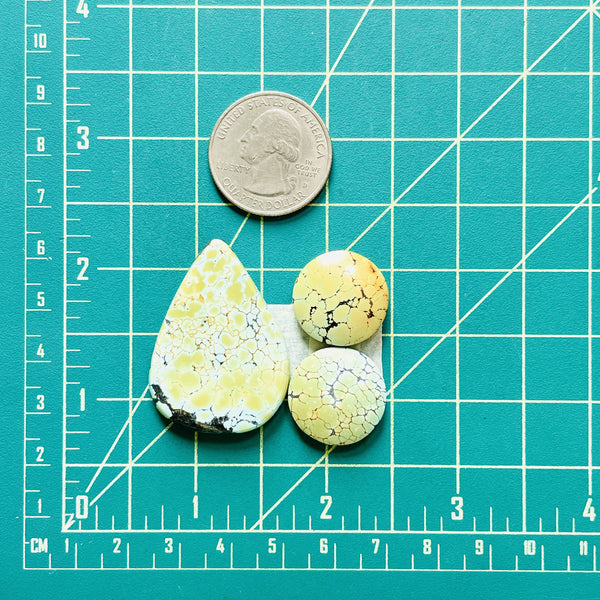 Mixed Yellow Mixed Giraffe Turquoise, Set of 3 Dimensions