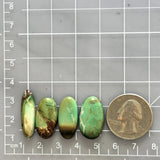 Large Mint Green Mixed Crescent Lake Variscite, Set of 4 Dimensions