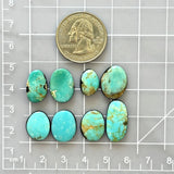 Small Sky Blue Freeform Mixed Turquoise, Set of 8 Dimensions