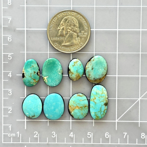 Small Sky Blue Freeform Mixed Turquoise, Set of 8 Dimensions