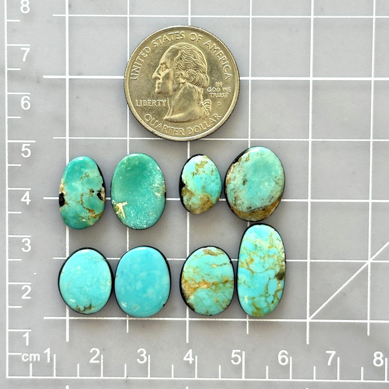 Small Sky Blue Freeform Mixed Turquoise, Set of 8 Dimensions