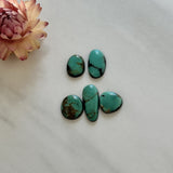 Small Deep Green Oval Kingman Turquoise, Set of 5 Background
