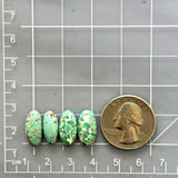 Small Sea Green Oval Namtso Lake Turquoise, Set of 4 Dimensions
