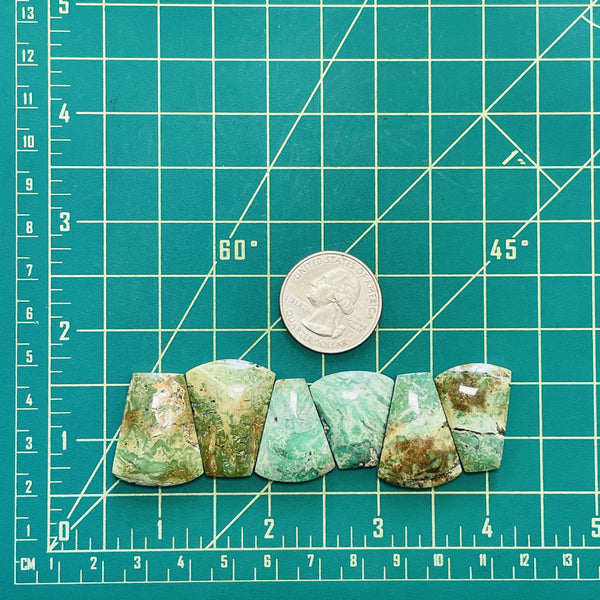 Large Mint Green Petal Crescent Lake Variscite, Set of 6 Dimensions