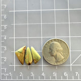 Small Earth Brown Mixed Crescent Lake Variscite, Set of 3 Dimensions
