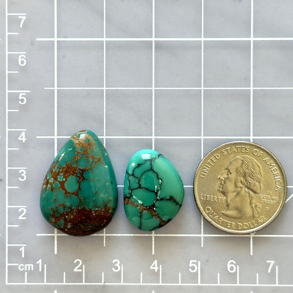 Large Bamboo Green Mixed Bamboo Mountain Turquoise, Set of 2 Dimensions