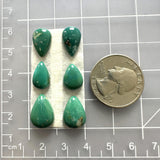 Small Deep Green Teardrop Crescent Lake Variscite, Set of 6 Dimensions