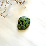 Large Bamboo Green Freeform Bamboo Mountain Turquoise Background