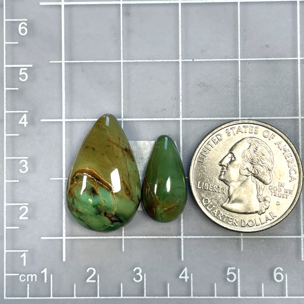 Large Sea Green Teardrop Crescent Lake Variscite, Set of 2 Dimensions