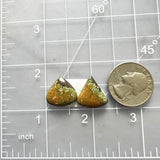 Small Earth Brown Freeform Treasure Mountain Turquoise, Set of 2 Dimensions