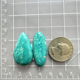 Large Sky Blue Mixed Fox Turquoise, Set of 2 Dimensions