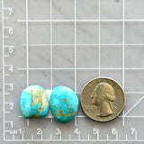 Medium Sky Blue Freeform Royston Turquoise, Set of 2 Dimensions