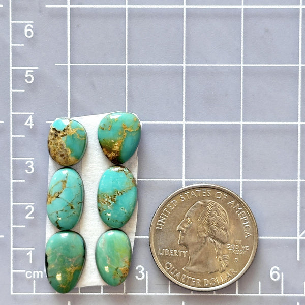 Small Sea Green Mixed Royston Turquoise, Set of 6 Dimensions