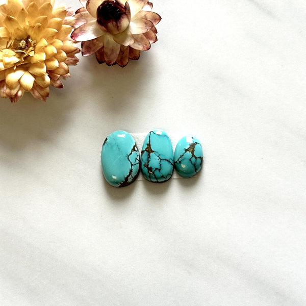Small Sky Blue Freeform Yungai Turquoise, Set of 3 Background