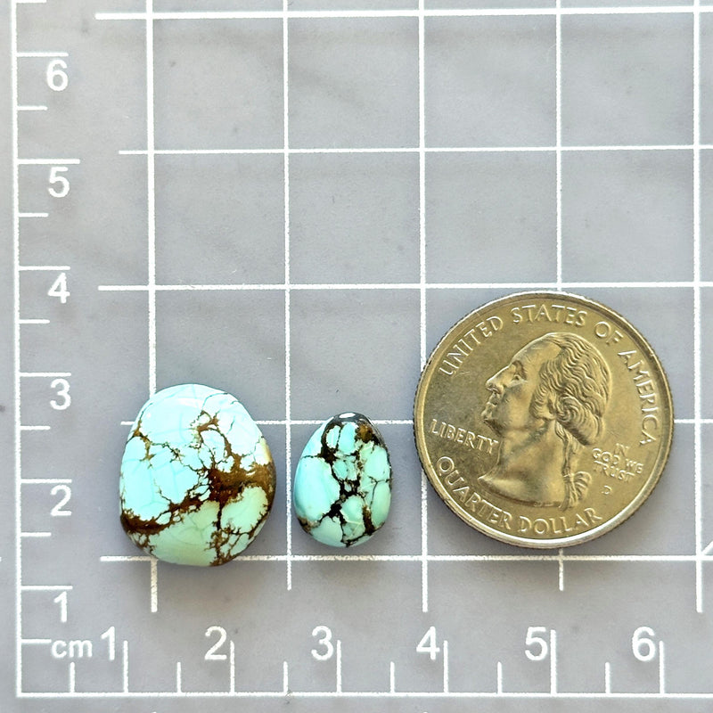 Medium Sky Blue Mixed Treasure Mountain Turquoise, Set of 2 Dimensions