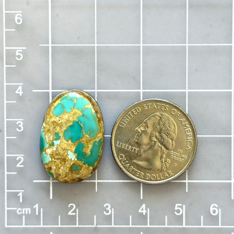 Large Sky Blue Oval Royston Turquoise Dimensions