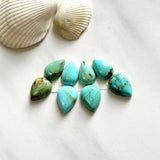 Small Mixed Teardrop Kingman Turquoise, Set of 8 Background