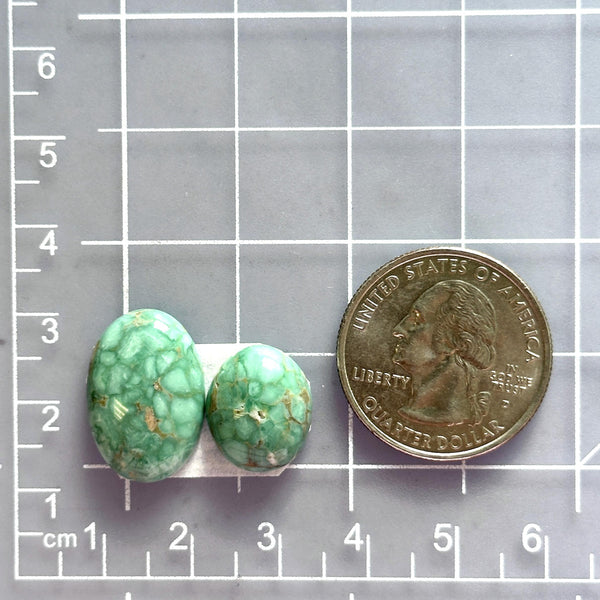 Small Mint Green Mixed Broken Arrow Variscite, Set of 2 Dimensions
