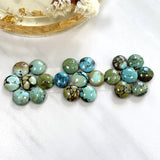 Small Mixed Round Mixed Turquoise, Set of 21 Background