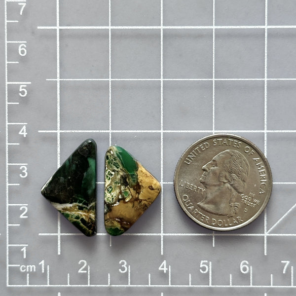 Medium Sea Green Triangle Crescent Lake Variscite, Set of 2 Dimensions