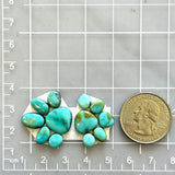 Small Sky Blue Mixed Lone Mountain Turquoise, Set of 12 Dimensions