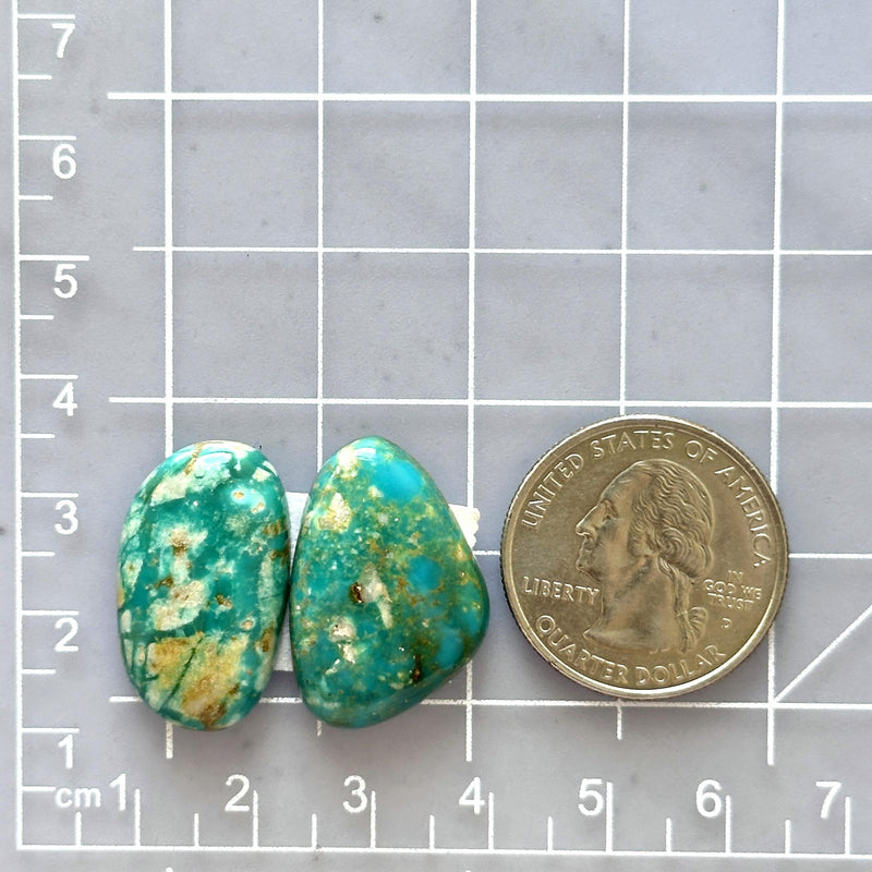 Large Deep Green Freeform Fox Turquoise, Set of 2 Dimensions