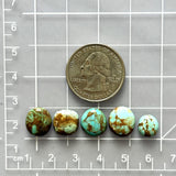 Small Sky Blue Freeform Number 8 Turquoise, Set of 5 Dimensions